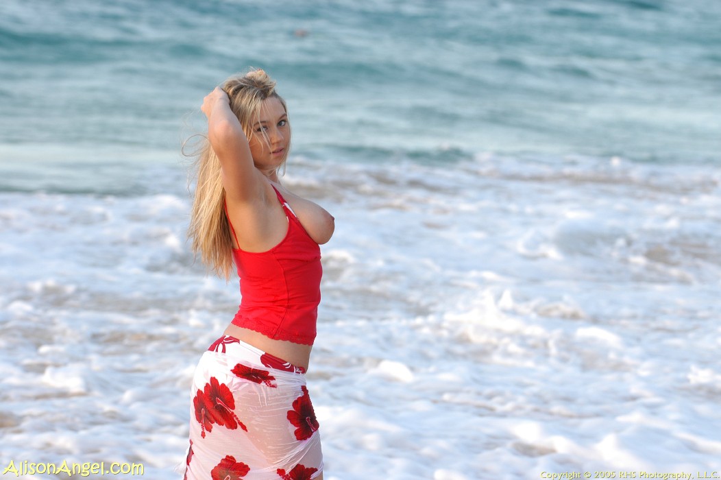 Sunrise Beach Shoot &raquo; Alison Angel Free Nude Pictures