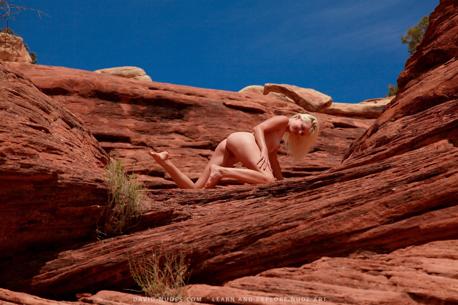 Upwards » David Nudes Free Nude Pictures