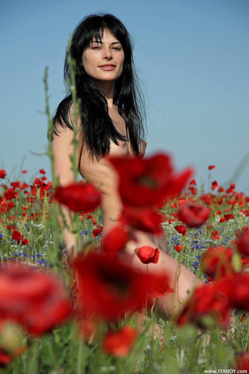 Inside The Dream &raquo; FEMJOY Free Nude Pictures
