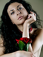 Go to Rose Free Pictures Gallerie