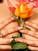 Go to Rose Free Pictures Gallerie