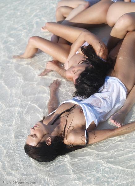 Baby Seals &raquo; Anna S and Brigi and Melissa and Muriel and Suzie and Suzie and Carina Hegre &raquo; Hegre &raquo; Free Nude Pictures @ Bravo Erotica Free Nude Pictures