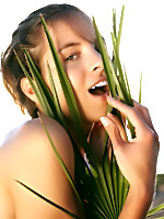 Go to Kales Free Pictures Gallerie