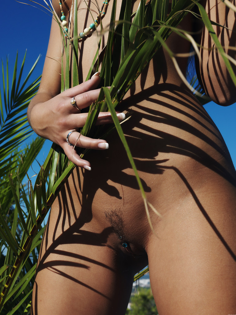 Liokanis By Erro » Met Art Free Nude Pictures