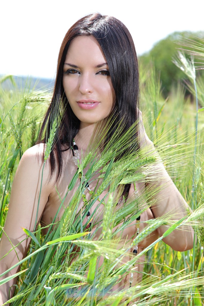 Fields By Dolce &raquo; Nika E Met Art &raquo; Met Art &raquo; Free Nude Pictures @ Bravo Erotica Free Nude Pictures