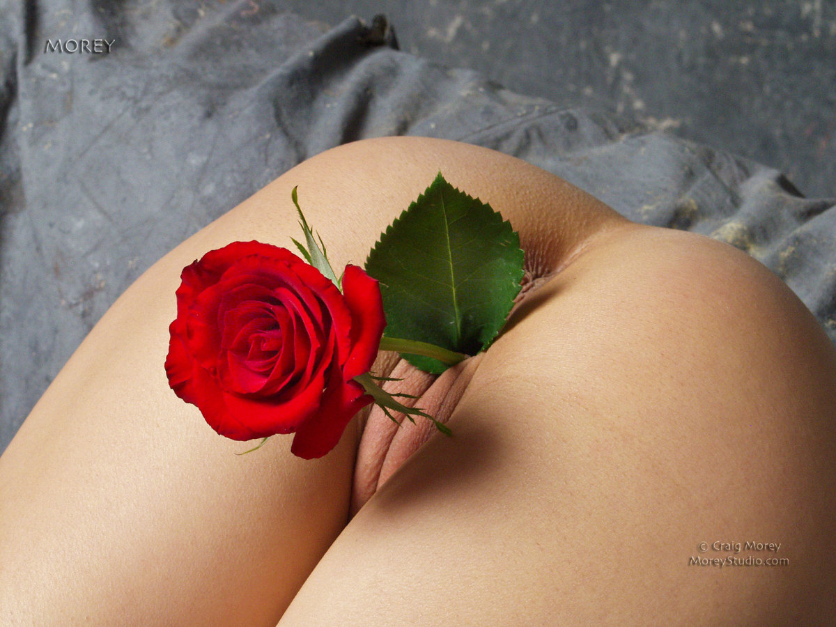 C4 » Morey Studio Free Nude Pictures